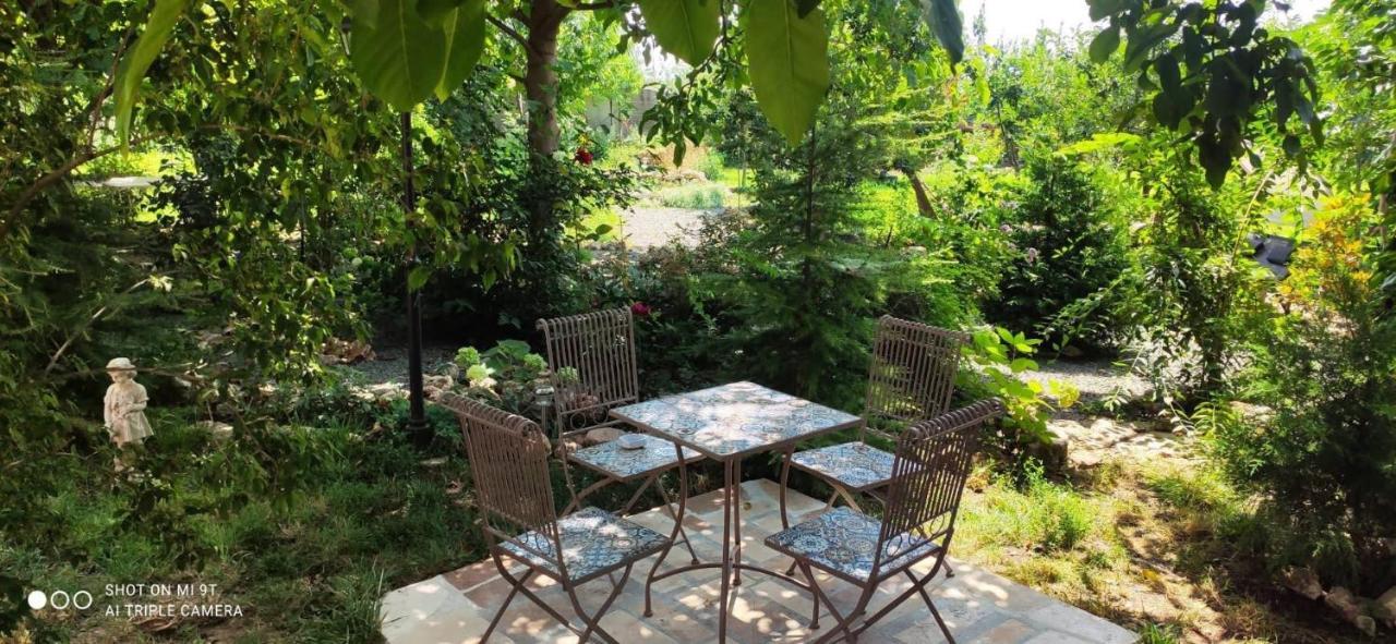 Casa Magnolia Hotel Douăzeci şi Trei August Buitenkant foto