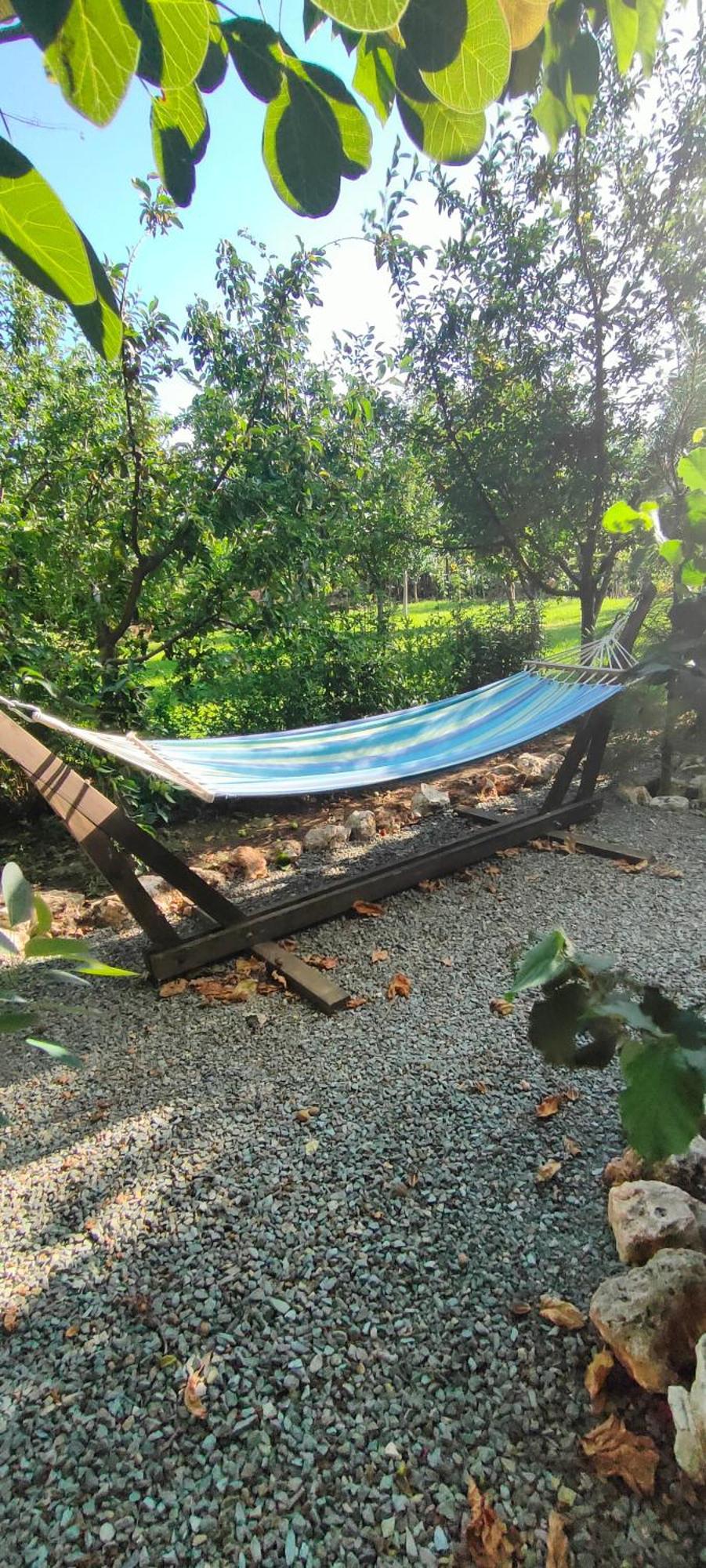 Casa Magnolia Hotel Douăzeci şi Trei August Buitenkant foto